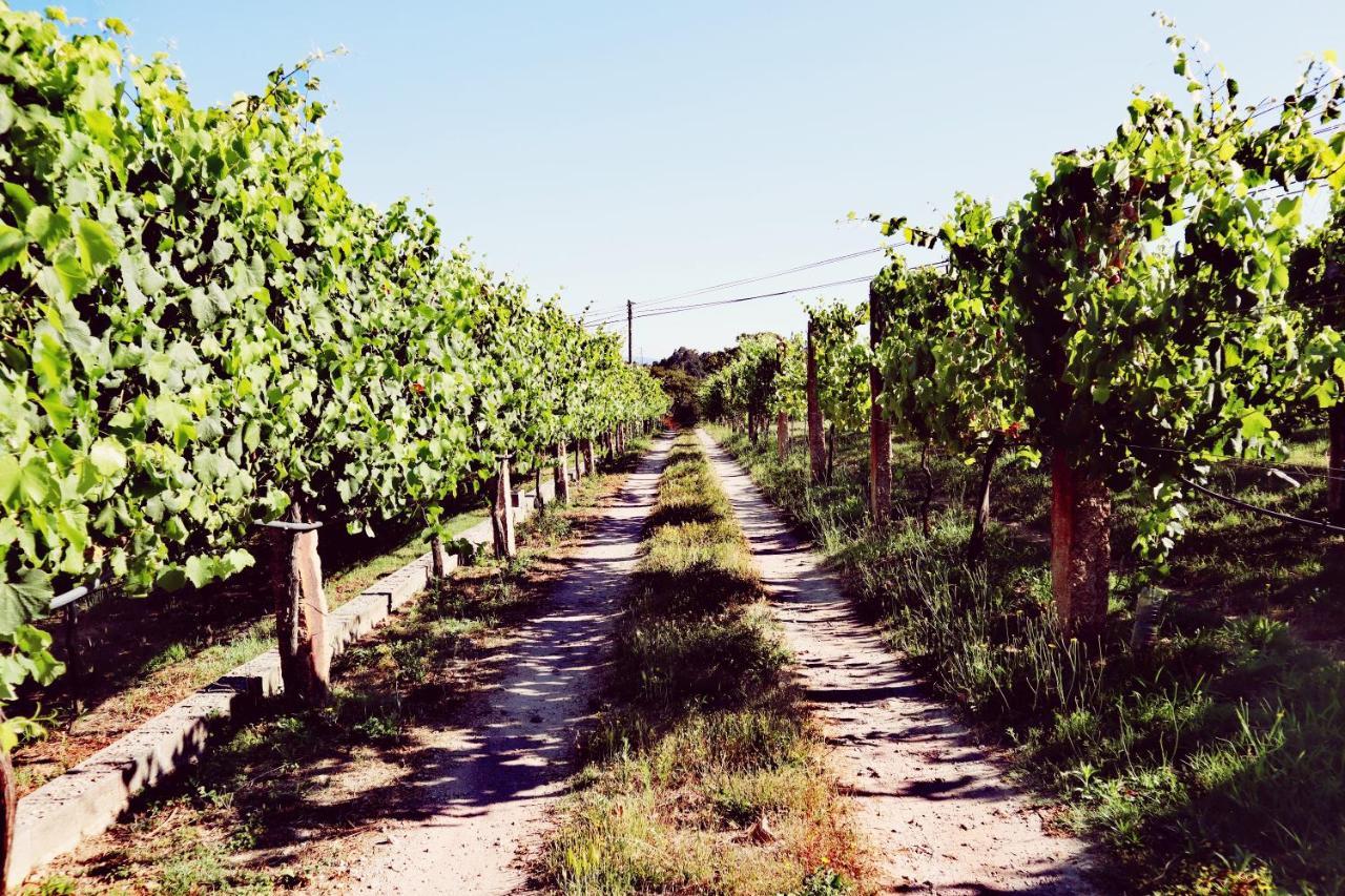 Quinta De Real Villa Valenca Bagian luar foto