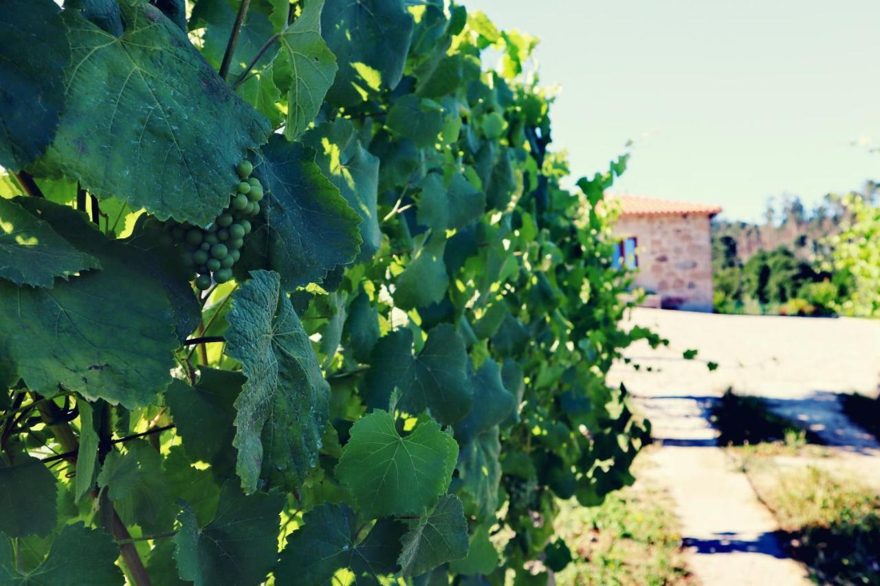 Quinta De Real Villa Valenca Bagian luar foto